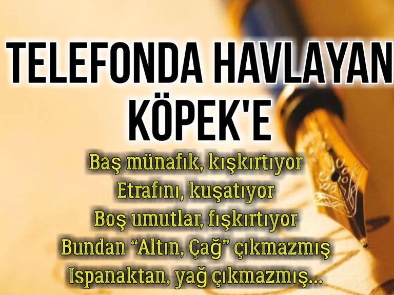 TELEFONDA HAVLAYAN KÖPEK'E (ŞİİR)