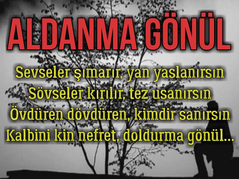 ALDANMA GÖNÜL (ŞİİR)