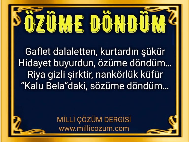 ÖZÜME DÖNDÜM (ŞİİR)