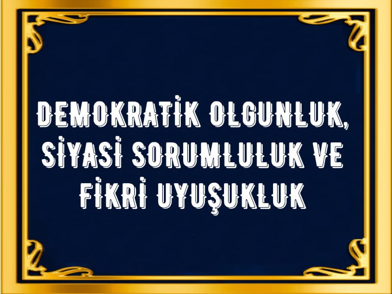 DEMOKRATİK OLGUNLUK