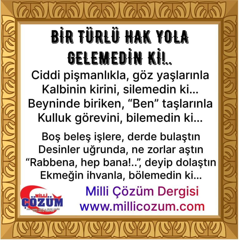 BİR TÜRLÜ HAK YOLA GELEMEDİN Kİ!..