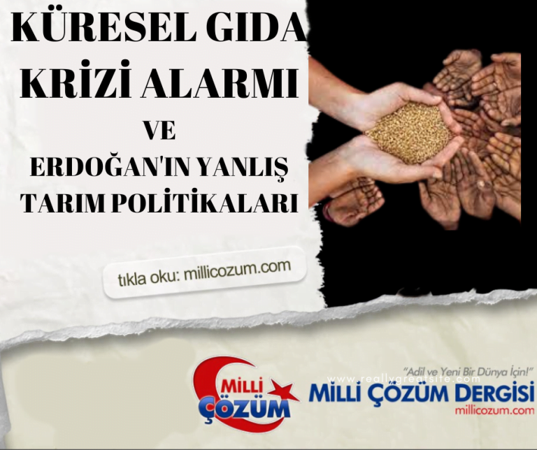 KÜRESEL GIDA KRİZİ ALARMI  VE  ERDOĞAN'IN YANLIŞ TARIM POLİTİKALARI